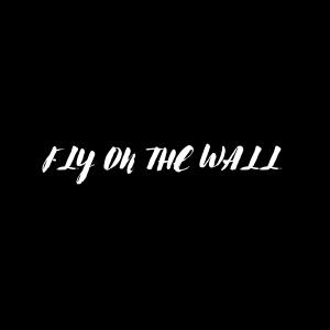 ดาวน์โหลดและฟังเพลง FLY ON THE WALL (Explicit) พร้อมเนื้อเพลงจาก James Allen