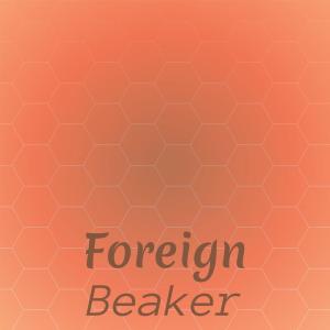 Various Artists的專輯Foreign Beaker