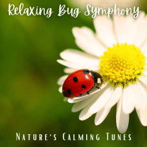 Relaxing Bug Symphony: Nature's Calming Tunes