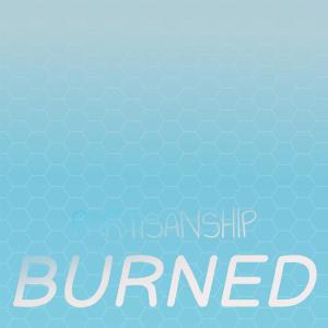 อัลบัม Partisanship Burned ศิลปิน Various