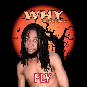 Album Why oleh Fly