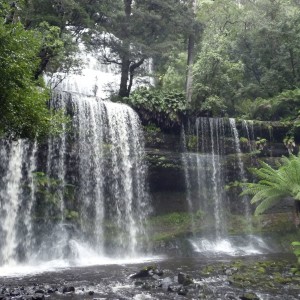 Listen to Ability song with lyrics from Jason Mas