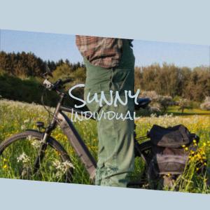 Listen to Bobolink song with lyrics from Menda Prin