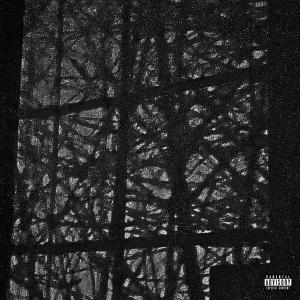 收聽Chappie的mixed feelings (feat. Freakysantana) (Explicit)歌詞歌曲