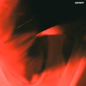 Album SAYWHY from Sonn