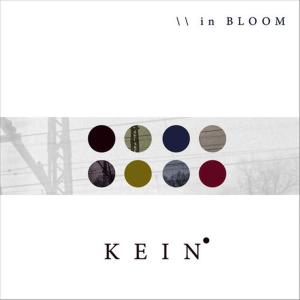 ดาวน์โหลดและฟังเพลง In Bloom พร้อมเนื้อเพลงจาก KEIN