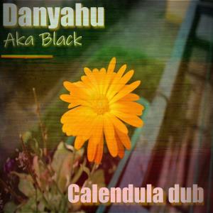 Danyahu的專輯Caléndula dub