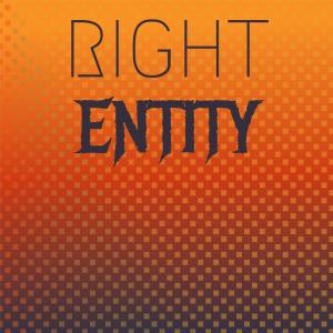 Various Artists的專輯Right Entity