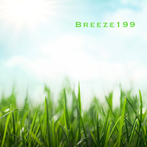 breeze199的专辑Sunshine