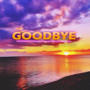 Album Goodbye from Wild Fire