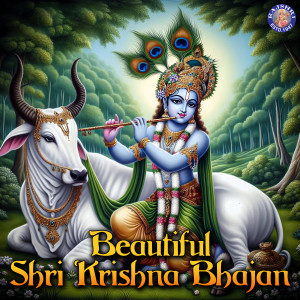 Listen to Shri Krishna Govind Hare Murari song with lyrics from Ketan Patwardhan