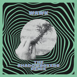Album Wawk (The Shadowboxers Remix) from Molly Parden