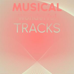 Various Artists的專輯Musical Wonderful Tracks