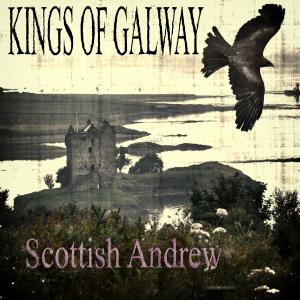 ดาวน์โหลดและฟังเพลง The Stormy Seas of Celtia พร้อมเนื้อเพลงจาก Scottish Andrew