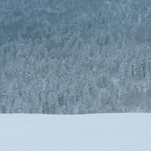 收聽YOUNGWON的다시, 겨울 (Winter, Again)歌詞歌曲