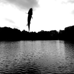 收聽The Suits的The Ironic Treadmill歌詞歌曲