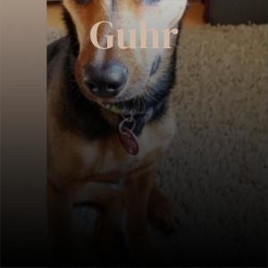 Listen to Guhr song with lyrics from Cian Parem