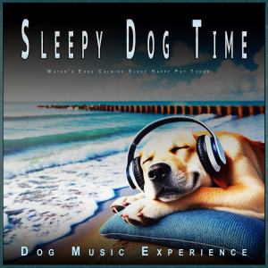 Dog Music Experience的專輯Sleepy Dog Time: Water's Edge Calming Sleep Happy Pet Tones