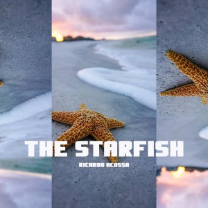 The Starfish dari Ricardo Acossa