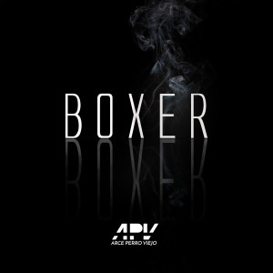 ดาวน์โหลดและฟังเพลง Boxer (Explicit) พร้อมเนื้อเพลงจาก ARCE