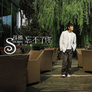 ดาวน์โหลดและฟังเพลง Let Me Love You (Live) (演唱会版) พร้อมเนื้อเพลงจาก 孙楠