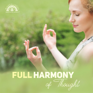 Listen to Mental Health song with lyrics from Mindfullness Meditation World