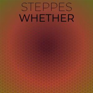 Album Steppes Whether oleh Various