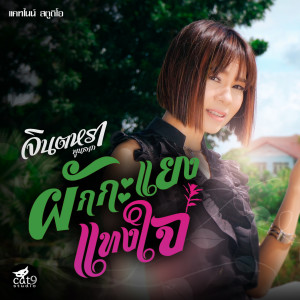 收听จินตหรา พูนลาภ的ผักกะแยงแทงใจ歌词歌曲