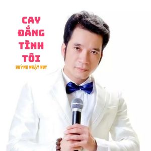 Listen to Người Đã Như Mơ song with lyrics from Huỳnh Nhật Huy