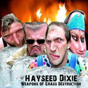 ดาวน์โหลดและฟังเพลง The Rider Song พร้อมเนื้อเพลงจาก Hayseed Dixie