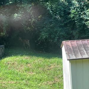 收听KT!的alone歌词歌曲