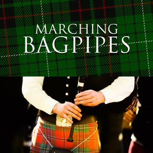 Listen to Selections of Strathspeys and Reels Part 2 song with lyrics from City Of Glasgow Police Pipe Band