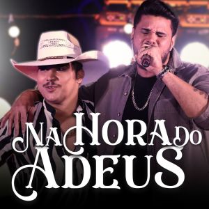 Riquelves的專輯Na Hora do Adeus