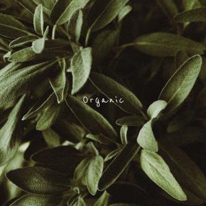 ดาวน์โหลดและฟังเพลง Organic พร้อมเนื้อเพลงจาก Hazue