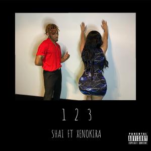 1 2 3 (feat. XENOKIRA) (Explicit)