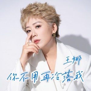 Album 你不用再冷落我（DJ豪大大版） oleh 王娜