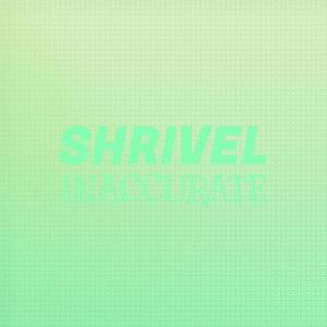 อัลบัม Shrivel Inaccurate ศิลปิน Various Artists