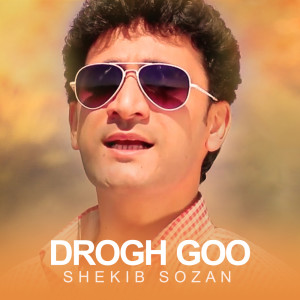 收听Shekib Sozan的Drogh Goo歌词歌曲