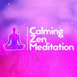Meditation Deep Sleep的專輯Calming Zen Meditation