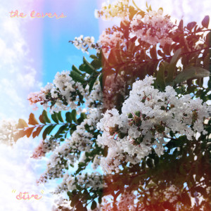 Listen to Dive song with lyrics from The Lovers