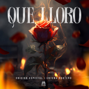 Album Que Lloro oleh Enigma Norteño