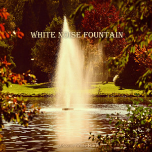 Dengarkan White Noise Fountain (ASMR, Nature Sound) lagu dari J.Roomy dengan lirik