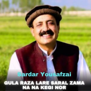 Album Gula Raza Lare Saral Zama Na Na Kegi Nor from 