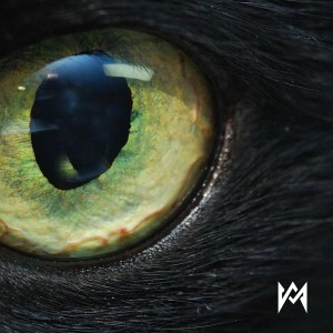 ดาวน์โหลดและฟังเพลง Devoción (El Cuervo) (Explicit) พร้อมเนื้อเพลงจาก Momorán