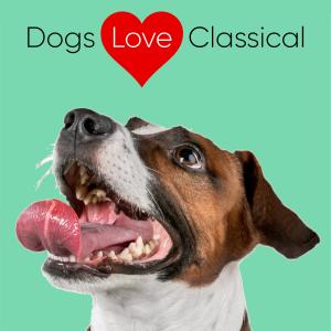 Dogs Love Classical的專輯Joyful, Upbeat Classical Piano Music