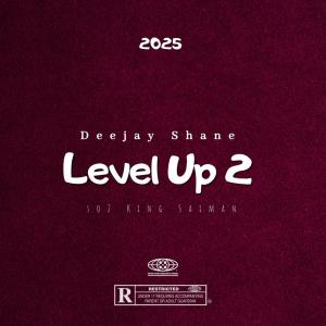收听Deejay Shane的Level Up 2歌词歌曲