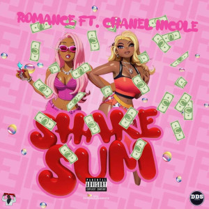 ดาวน์โหลดและฟังเพลง SHAKE SUM (Explicit) พร้อมเนื้อเพลงจาก Romancee