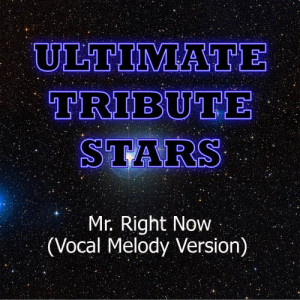 收聽Ultimate Tribute Stars的Pitbull feat. Akon - Mr. Right Now (Vocal Melody Version)歌詞歌曲