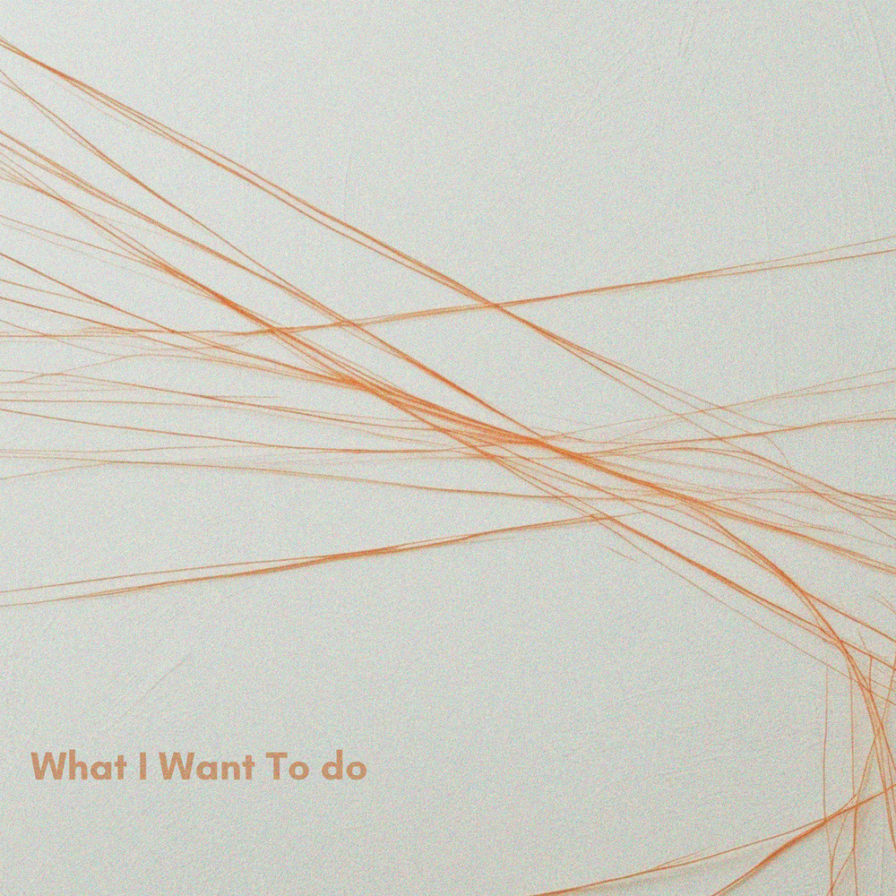 What I Want To Do