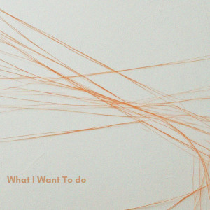 ดาวน์โหลดและฟังเพลง What I Want To Do พร้อมเนื้อเพลงจาก Lost Files